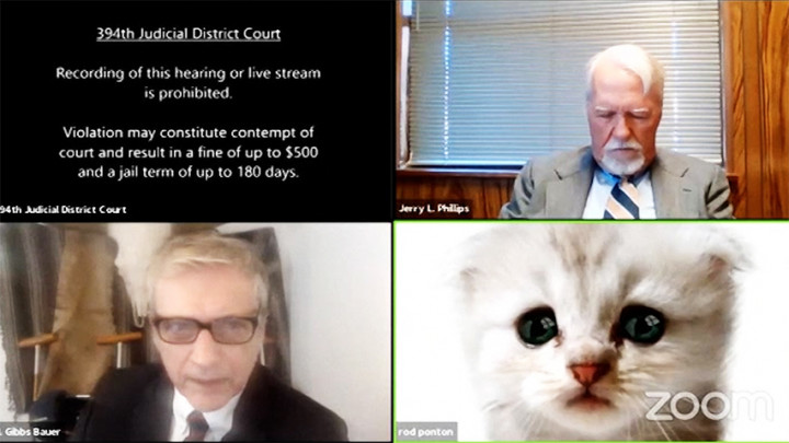 Tak Bisa Matikan Filter di Sidang Online, Pengacara Ini Yakinkan Hakim Dirinya Bukan Kucing