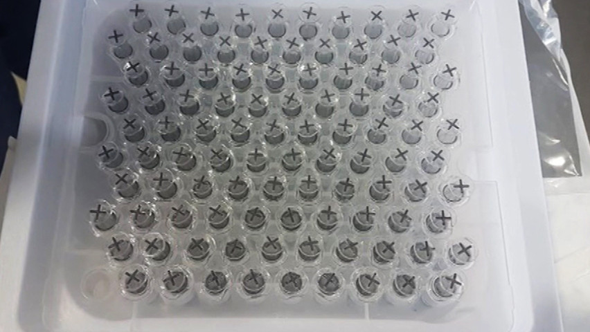 Interpol Ungkap Peredaran Vaksin COVID-19 Palsu