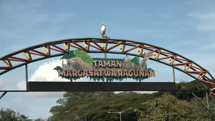 Taman Margasatwa Ragunan Kembali Dibuka untuk Umum