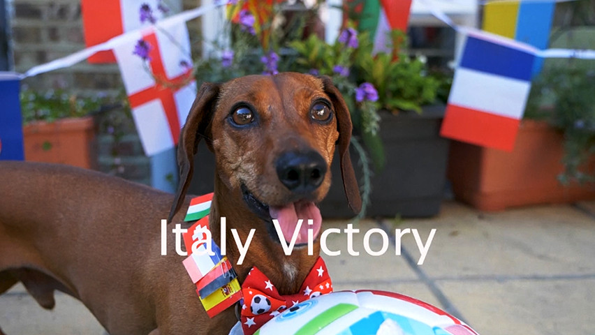 Kemenangan Italia atas Spanyol Ternyata Telah Diprediksi oleh Seekor Anjing
