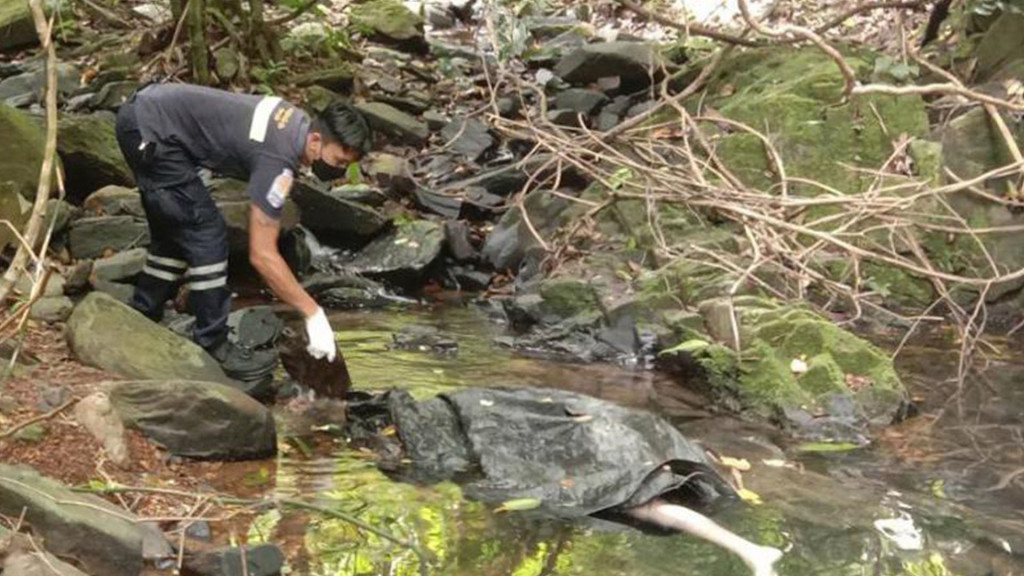 Penemuan Misterius Jasad Wanita Warga Negara Swiss di Thailand