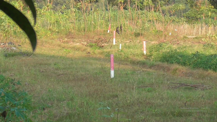 Ratusan Warga di Sleman Mendadak Jadi Miliarder