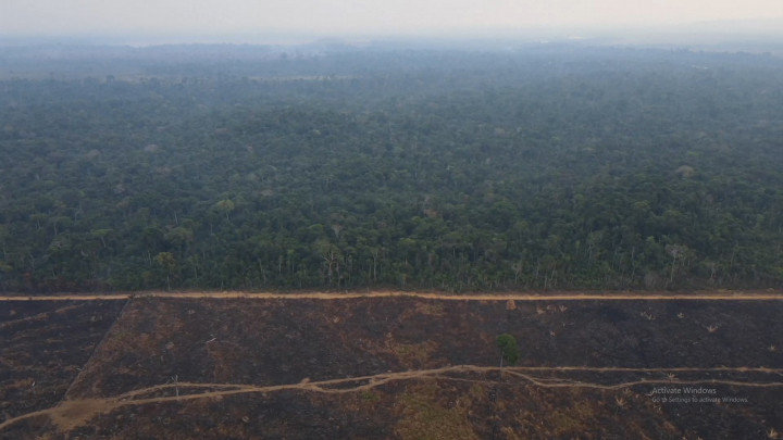 Penampakan Pembangunan Jalur Kereta Brasil di Hutan Amazon