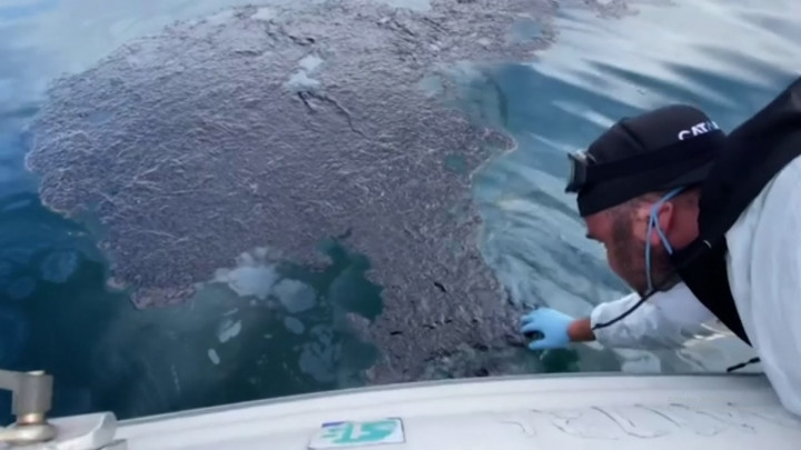 Dugaan Penyebab Ratusan Ribu Liter Minyak Cemari Pesisir California