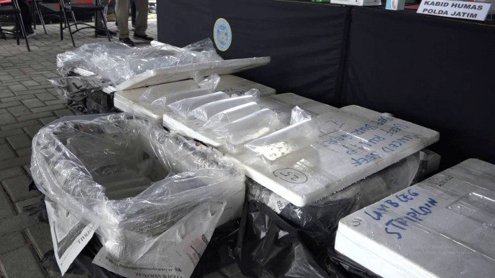 Polda Jatim Gagalkan Penyeludupan Puluhan Ribu Benih Lobster Ilegal