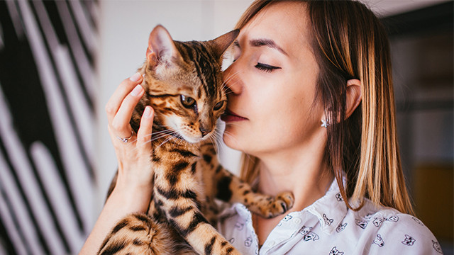 5 Tanda Kucing Nyaman di Dekatmu