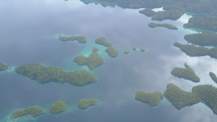 Bangkit Dari Keterpurukan, Wisata Raja Ampat Segera Buka Kembali