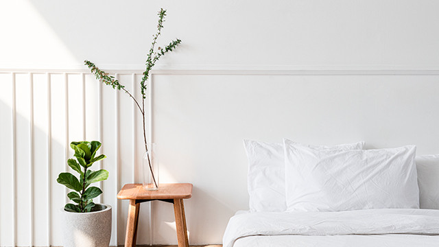 Can make sleep more sound, these are 6 plants that are good for the bedroom