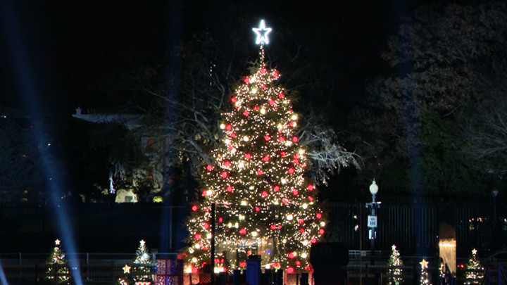 Joe Biden Nyalakan Pohon Natal Nasional