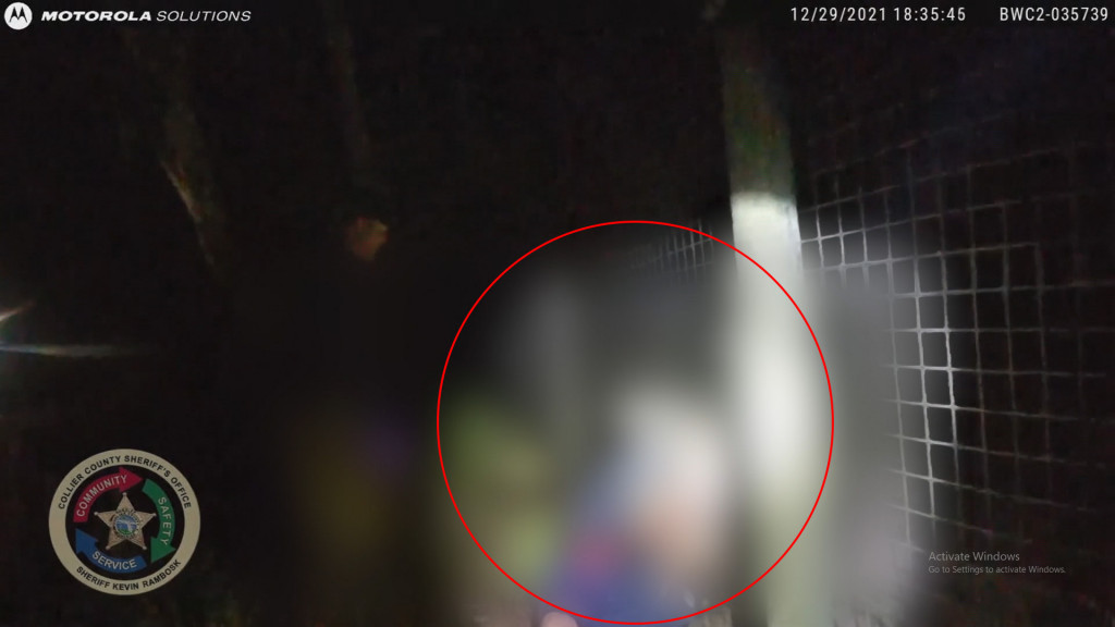 Langgar Pagar Batas, Petugas Kebersihan Digigit Harimau Malaya