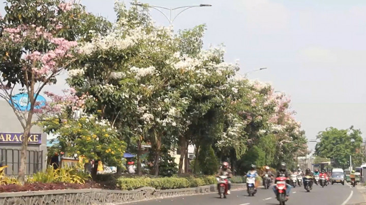 Dua Warga Surabaya Positif Omicron, Salah Satu Pasien Sempat Liburan di Bali