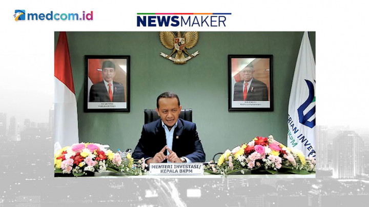 Usai Pencabutan IUP, Ini Langkah Pemerintah Selanjutnya