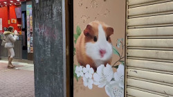 Ditemukan Hamster Positif Korona, Hong Kong akan Musnahkan 2.000 Hewan