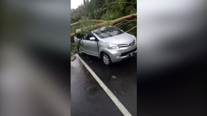 Hujan Deras Guyur Bandar Lampung, Mobil Berisi 7 Penumpang Tertimpa Pohon