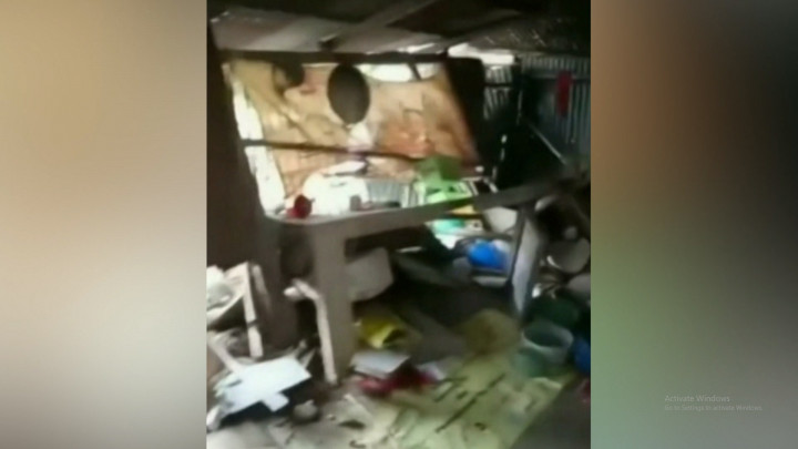 Kawanan Gajah Liar di Pekanbaru Mengamuk dan Rusak Rumah Penduduk