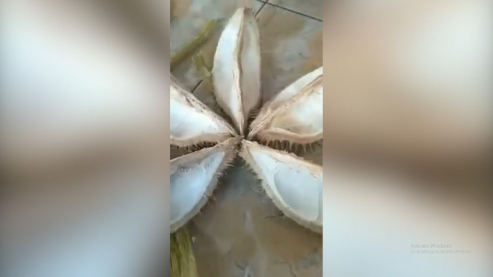Viral Durian Kosong di Pasar Wisata Cheng Ho Pasuruan