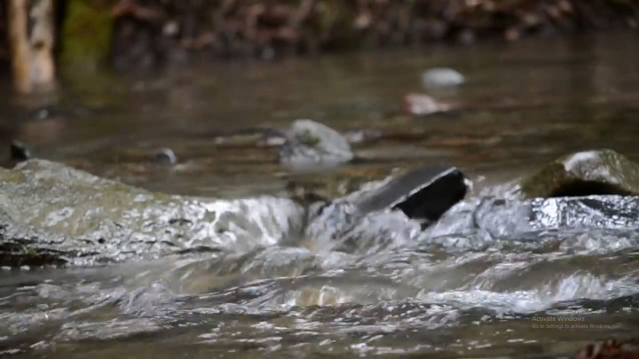 Hari Air Sedunia 2022 Sorot Pentingnya Penggunaan Air Tanah yang Bijak