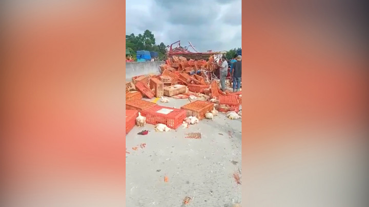 Dua Truk Tabrakan di Tol Trans Sumatera, Potongan Tubuh Korban Berceceran di Jalan