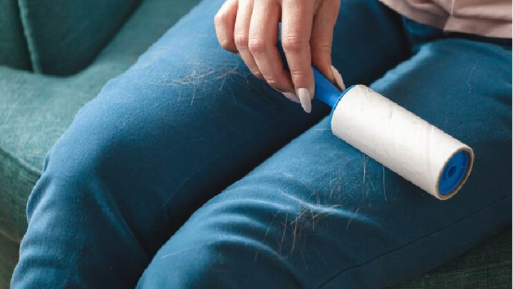 Tips Murah dan Jitu Bersihkan Bulu Kucing yang Menempel di Pakaian