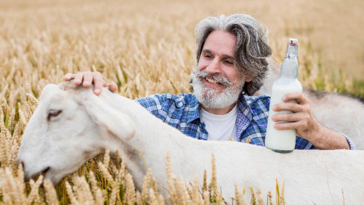 Khasiat Susu Kambing bagi Kesehatan Tubuh