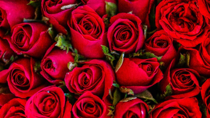 6 Manfaat Bunga Mawar untuk Kulit Wajah