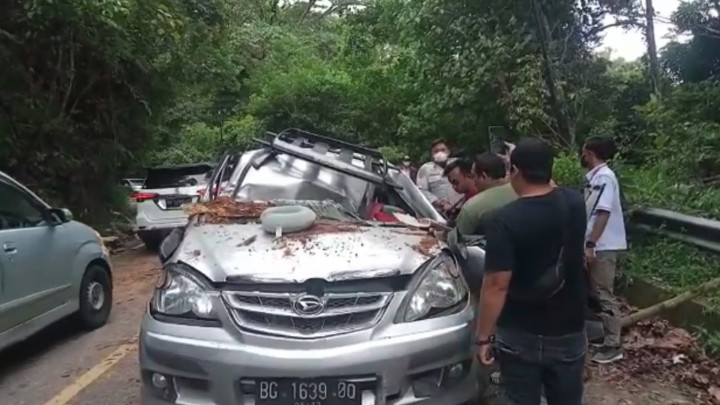 Pohon Tumbang Timpa Mobil, 1 Penumpang Meninggal Dunia