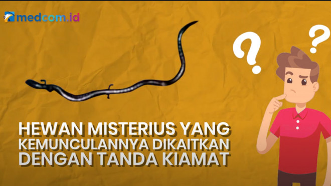 Beredar Foto Hewan Misterius sebagai Tanda Datangnya Kiamat? Simak Faktanya