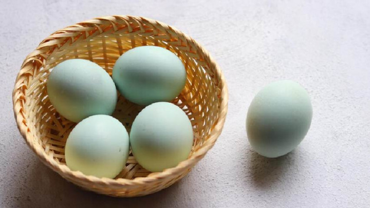 Telur Bebek untuk MPASI Bayi, Apa saja Manfaatnya?