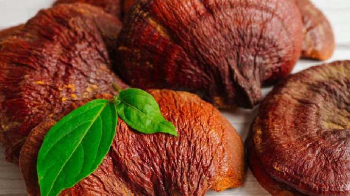 Jarang Diketahui! 5 Manfaat Jamur Lingzhi untuk Kesehatan