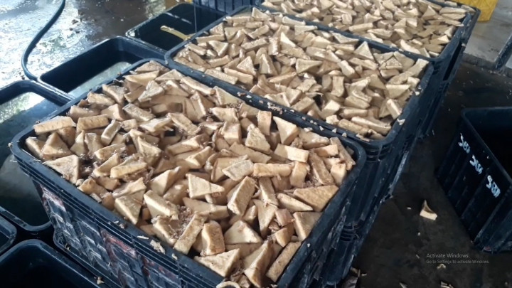 BPOM Gerebek 2 Pabrik Tahu Formalin di Parung Bogor