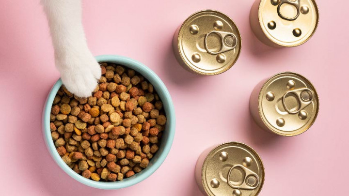 3 Tips Penuhi Nutrisi Makanan Kucing Agar Lahap