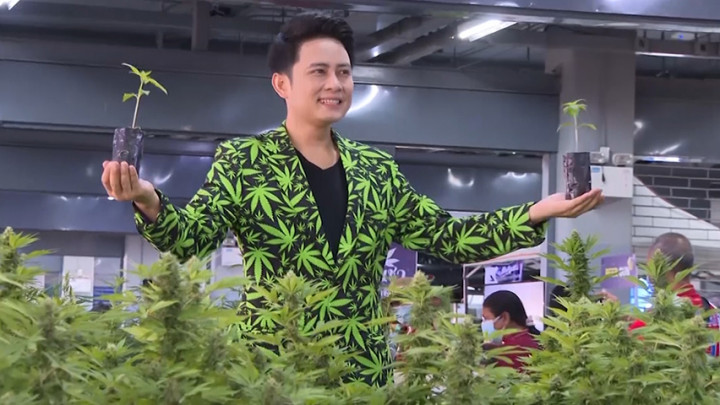 Menkes Thailand Bagikan 1 Juta Tanaman Ganja untuk Masyarakat