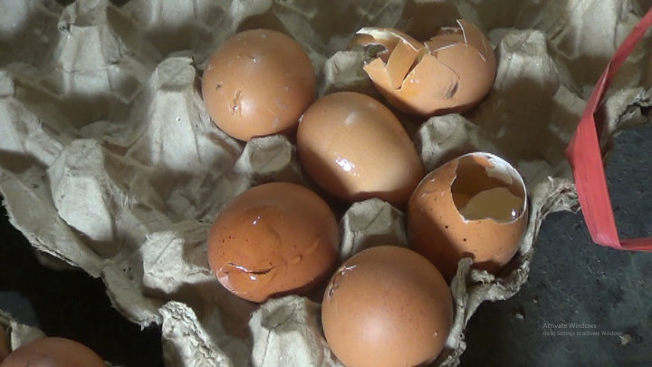 Imbas Harga Telur Mahal, Telur Pecah di Lubuklinggau Banyak Diminati Pembeli