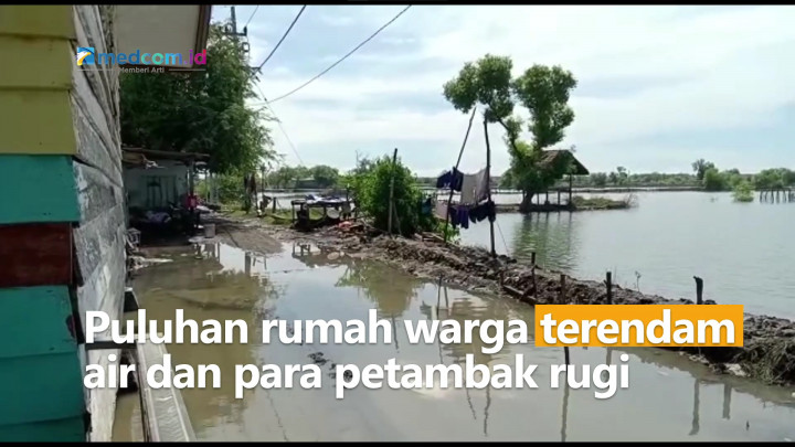 Banjir Rob Rendam Pemukiman di Sidoarjo, Para Petambak Merugi