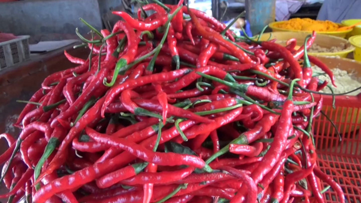Makin Pedas, Harga Cabai di DKI Jakarta Tembus Hingga Rp120 Ribu Per Kilogram