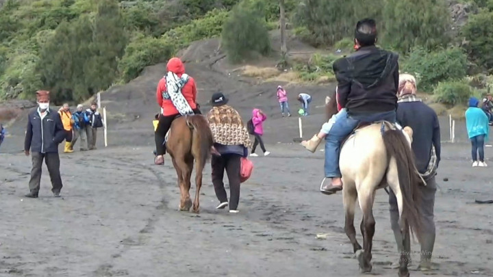 Usai Viral Ojek Kuda Rp50 Ribu di Wisata Gunung Bromo, Penyedia Jasa Minta Maaf