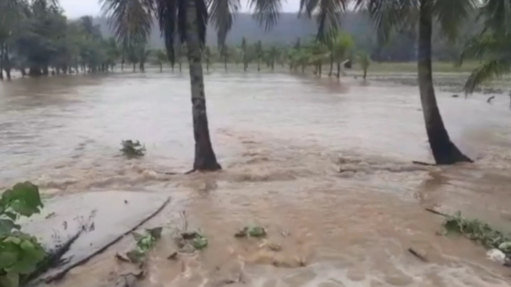 Terendam Banjir, 200 Hektar Sawah di Baubau Terancam Gagal Panen