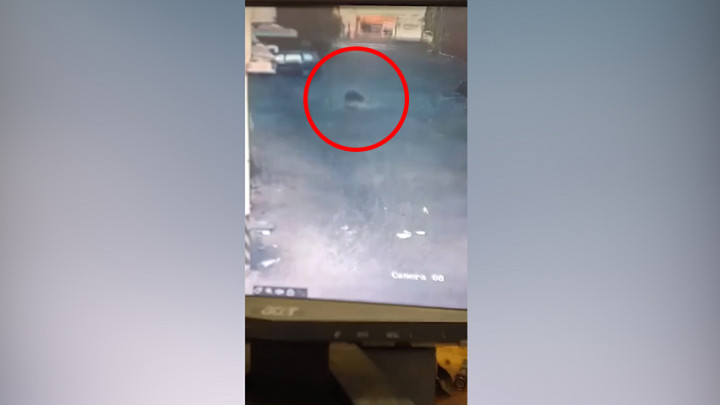 CCTV Rekam Detik-detik Mahasiswa PKL di Makassar Lompat dari Lantai 6