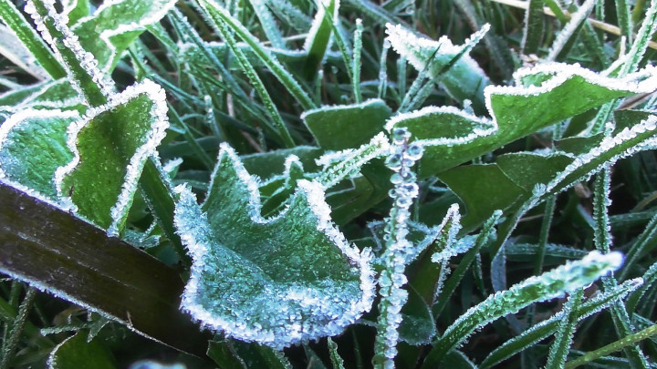 Kembali Terjadi, Embun Es Selimuti Dataran Tinggi Dieng