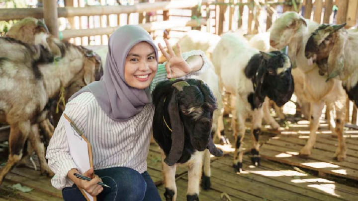 4 Tips Memilih Hewan Kurban di Tengah Wabah PMK
