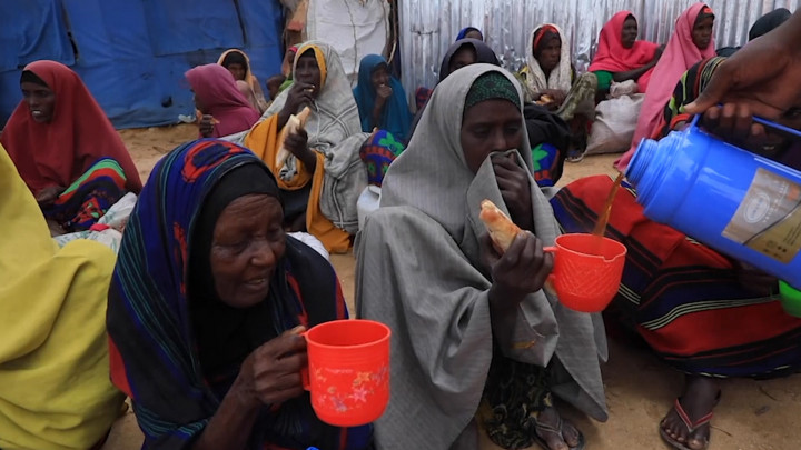 Harga Pangan Global Melonjak, Ratusan Juta Orang akan Kelaparan Akhir Dekade Ini