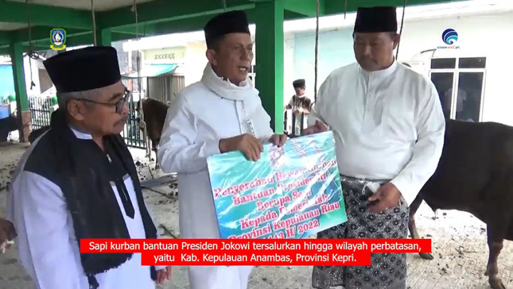 Sapi Kurban Jokowi Tersalurkan hingga Wilayah Perbatasan di Anambas