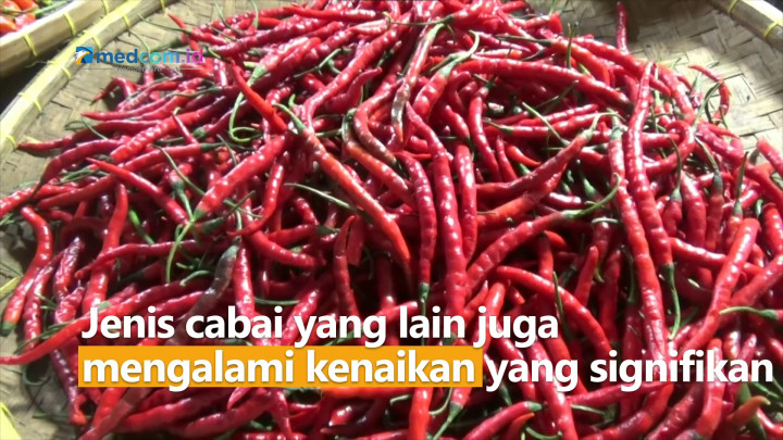 Pedas! Harga Cabai Merah Keriting Tembus Rp170.000 per Kilogram!