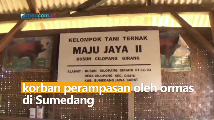 Tega! Ormas Rampas 16 Ternak Sapi dari Peternak di Sumedang