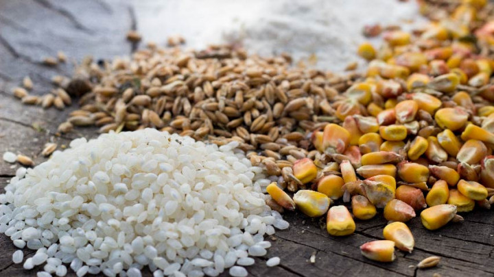 5 Rekomendasi Biji-Bijian Rendah Karbohidrat