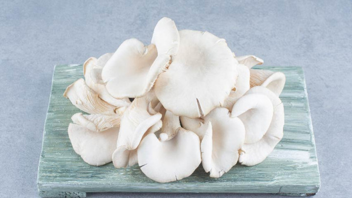 Mengulik 5 Manfaat Jamur Tiram bagi Kesehatan