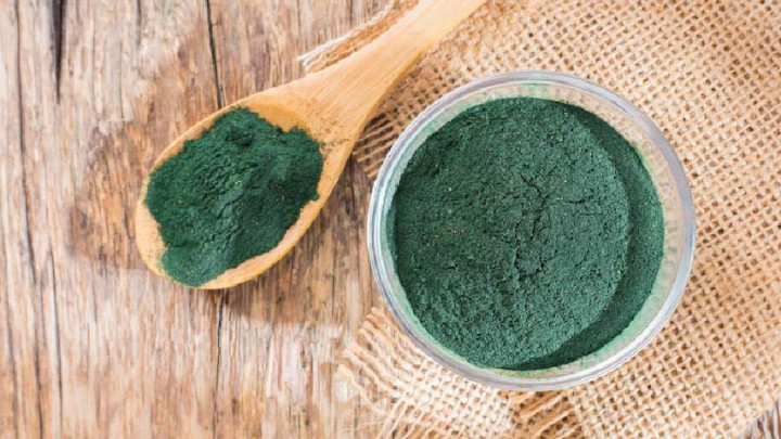 Tanaman Herbal Spirulina, Berkhasiat bagi Kesehatan