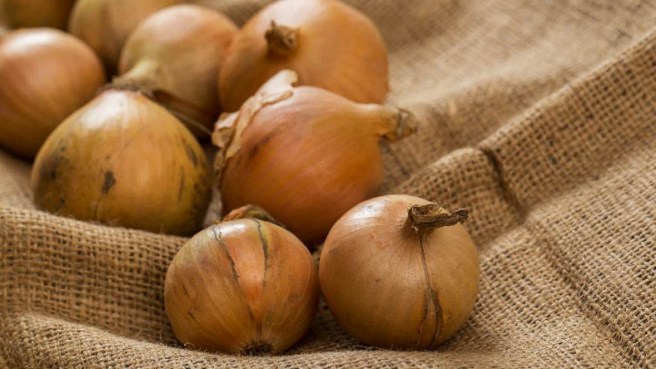 Tak Sekadar Pelengkap Masakan, Bawang Bombai Berkhasiat untuk Tubuh