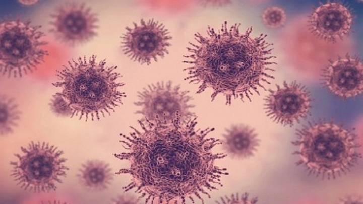 Strategi Pemerintah Antisipasi Penyakit Cacar Monyet Masuk ke Indonesia