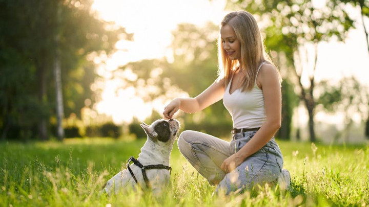 Pet Owner Wajib Tahu! Tips Merawat Heran Peliharaan saat Cuaca Panas